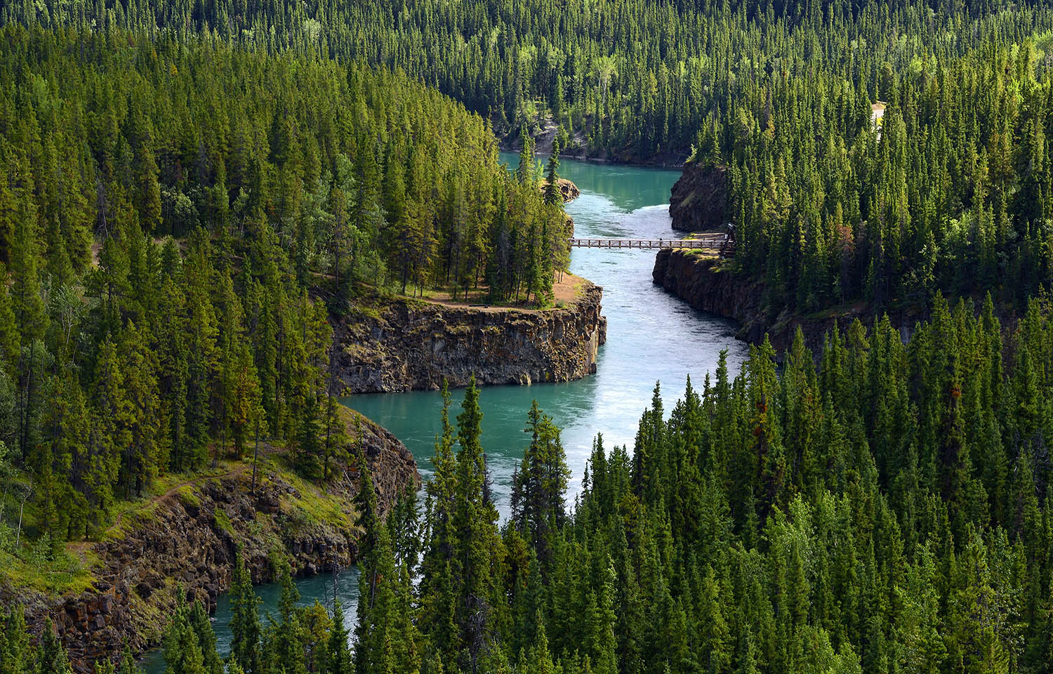 Canada, Alaska sign 7-year agreement on Yukon River salmon recovery ...