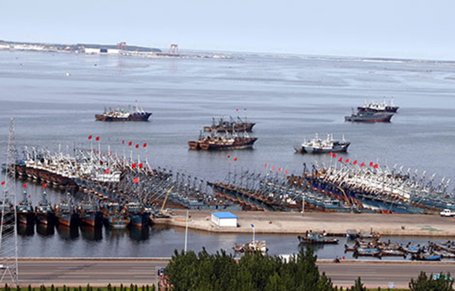 Fishing vessels in Rongcheng's port