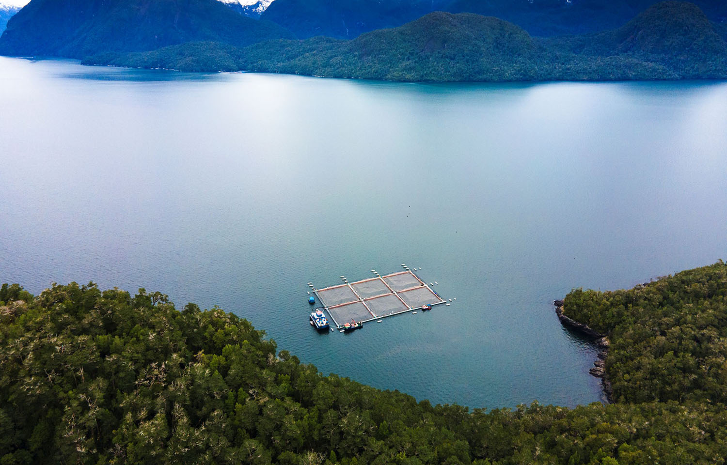 Cooke Chile's organic Atlantic salmon farm