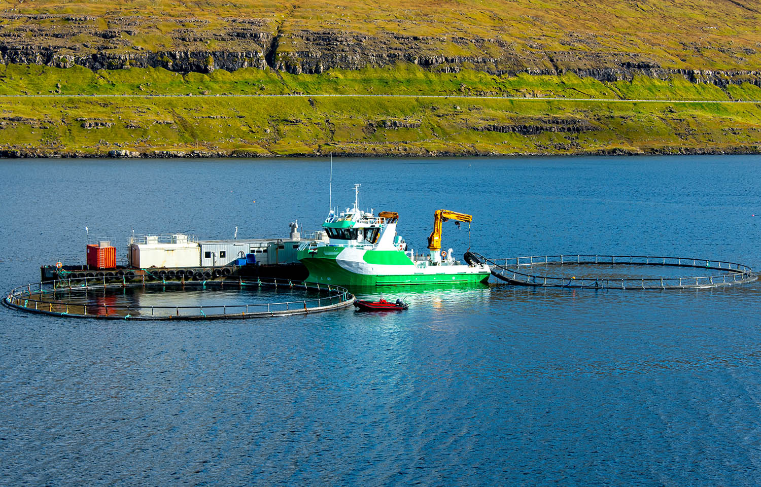 Bakkafrost posts increased Q3 harvest, but earnings hindered by global financial headwinds