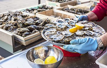 Oysters on a plate with lemons!