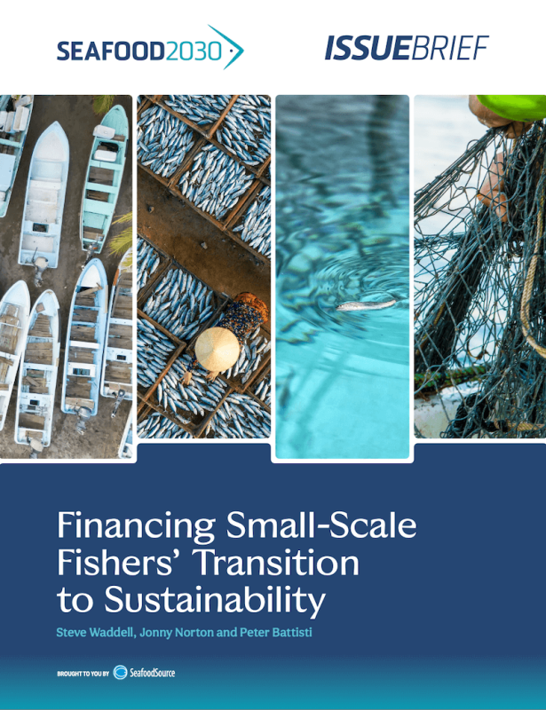 Seafood2030 Financing Small-Scale Fisheries