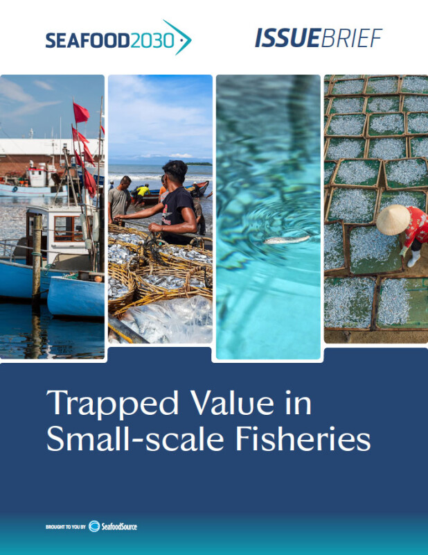 Seafood2030 Issue Brief: Trapped Value in Small-scale Fisheries
