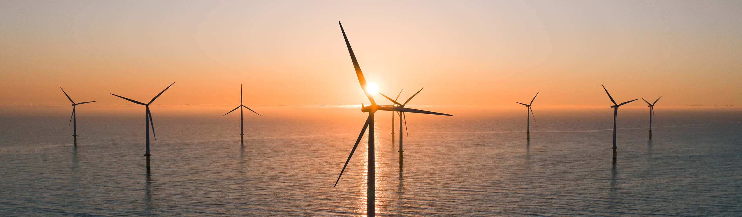 Poll shows strong support in New Jersey for offshore wind